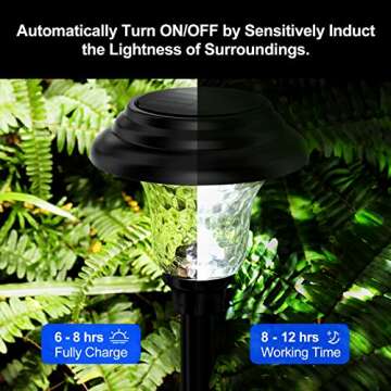 Balhvit Glass Solar Outdoor Lights - Superior Brightness & Design