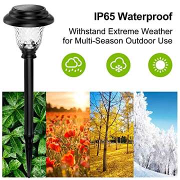 Balhvit Glass Solar Outdoor Lights - Superior Brightness & Design