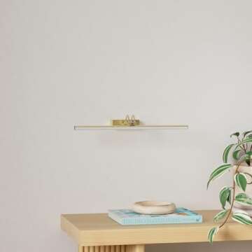 RAIFOOLLY Picture Light,16in Battery Operated Art Lights for Paintings,Remote Control Display Light with Timer and Dimmable for Accent Mirror,Frame,Portrait,Dartboard-Antique Brass