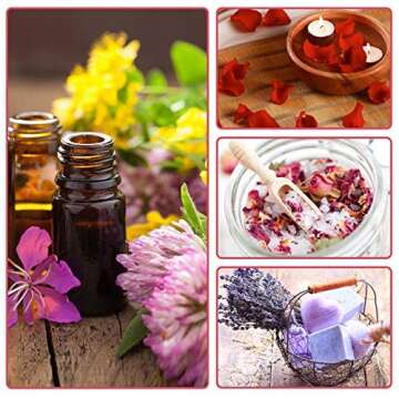 COYMOS Dried Flowers and Herbs 100% Natural Dry Flowers for Candle Making, Resin Jewelry, Bath Bombs - Contains Mint Leaves, Calendula, Hibiscus, Lemon Slices etc. (12 Botanical Varieties Total)