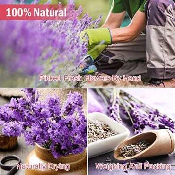 COYMOS Dried Flowers and Herbs 100% Natural Dry Flowers for Candle Making, Resin Jewelry, Bath Bombs - Contains Mint Leaves, Calendula, Hibiscus, Lemon Slices etc. (12 Botanical Varieties Total)