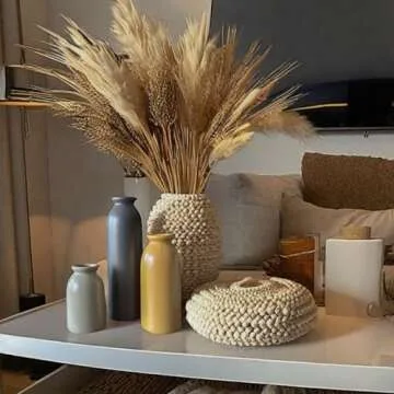 CWLWGO-Ceramic Matte Vase for Home Decor, Modern and Minimalist Decorative Vase Set. Farmhouse Living Room Tabletop, Bookshelf Decoration, Centerpiece Table Decor,Boho Decor.（Matte Multi）…