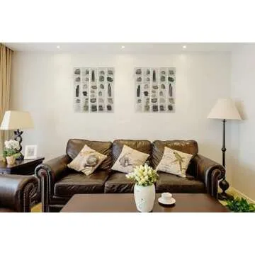 Adjustable Rock Display Case for Collectibles - Mirrored Acrylic