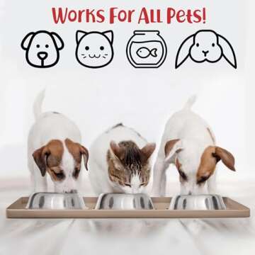 DogBuddy Dog Food Mat – Waterproof Dog Bowl Mat for Food and Water, Silicone Pet Feeding Mats for Floors, Non-Slip Placemat with High Edges for Dogs Bowls, Puppy Essentials (Small: 19"x12", Taupe)