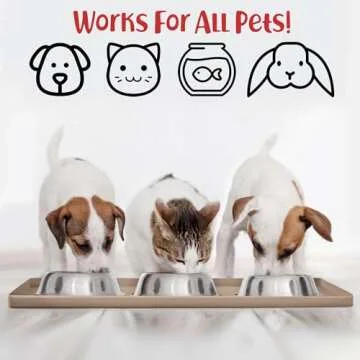 DogBuddy Dog Food Mat – Waterproof Dog Bowl Mat for Food and Water, Silicone Pet Feeding Mats for Floors, Non-Slip Placemat with High Edges for Dogs Bowls, Puppy Essentials (Small: 19"x12", Taupe)