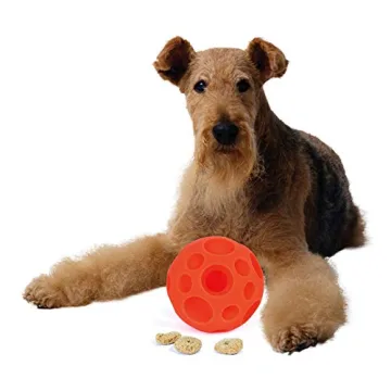 Omega Paw Tricky Treat Ball Large Dog Toy for Fun Playtime
