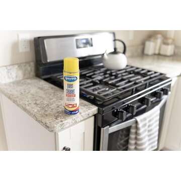 Sprayway, 20 Fl Oz Heavy-Duty Oven & Grill Cleaner, Removes Oil & Grease, 20 Oz, 1.25 Pound (Pack of 1)