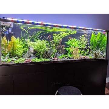 JC&P Full Spectrum Aquarium LED Light with Extendable Brackets (46”-54” (116-137 cm) with Red, Green, Blue and White LEDs Aquatic Fish Tank Light