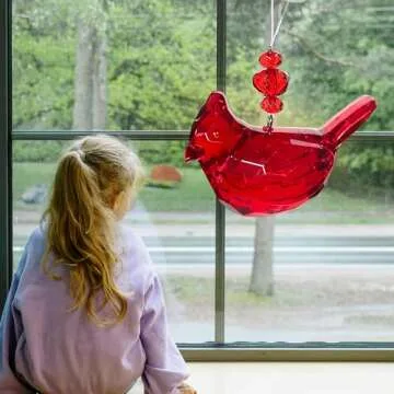 Cardinal of Comfort Visitor from Heaven Sympathy Gift Set Cardinal Memorial Gifts Bereavement Gifts ...