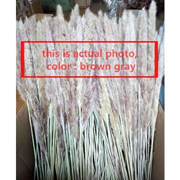 DongArts Natural Pampas Grass 60 Pcs 23" Tall Decor