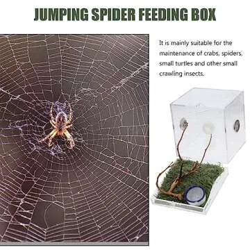 VILLCASE Spider Terrarium, Acrylic Reptile Breeding Box Jumping Spider Enclosure with Dropper Tongs for Tarantula Scorpion Sling Snake Gecko