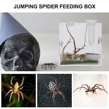 VILLCASE Spider Terrarium, Acrylic Reptile Breeding Box Jumping Spider Enclosure with Dropper Tongs for Tarantula Scorpion Sling Snake Gecko