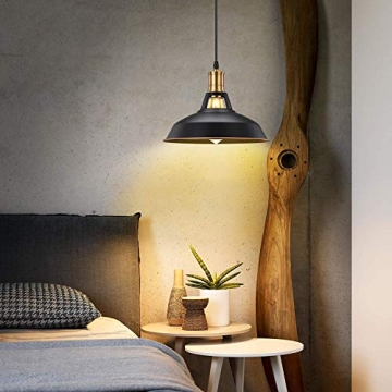 Pynsseu Industrial Pendant Light Set for Stylish Homes