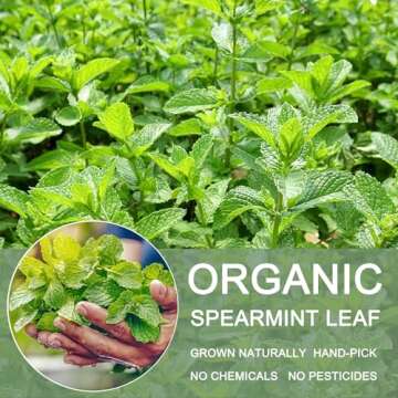 Pure Spearmint Tea Bags, 30 Count - Caffeine Free and Natural