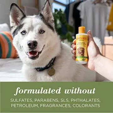 Burt's Bees for Pets Calming Hemp Paw & Nose Lotion - Burt's Bees Dog Lotion Burt's Bees Dog Paw Balm with Hemp Seed Oil & Lavender Made with Naturally Derived Ingredients - pH Balanced for Dogs, 4 Oz