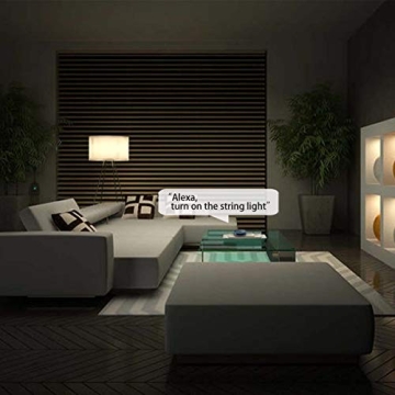 Outdoor Smart Plug, Surge Protector by POWRUI - 4 Outlet Control