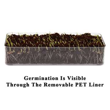 BENPIN Wooden Cat Grass Planter (no Seeds Included) with Anti Digging Design, and Removable Plastic Liner, Wheat Grass Growing Pot, Cat Grass for Indoor Cats Pets (Vintage Blue)