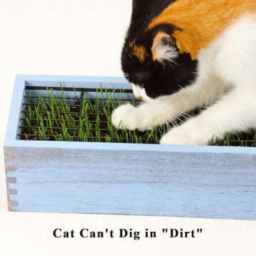 BENPIN Wooden Cat Grass Planter (no Seeds Included) with Anti Digging Design, and Removable Plastic Liner, Wheat Grass Growing Pot, Cat Grass for Indoor Cats Pets (Vintage Blue)