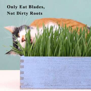 BENPIN Wooden Cat Grass Planter (no Seeds Included) with Anti Digging Design, and Removable Plastic Liner, Wheat Grass Growing Pot, Cat Grass for Indoor Cats Pets (Vintage Blue)