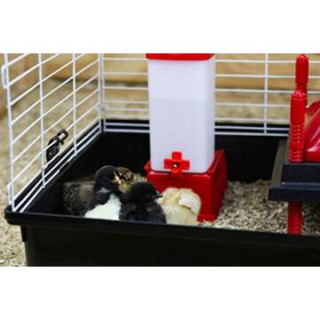 RentACoop 32oz(1L) Drinker Plus 2 Versatile Nipples - Suitable for Chicks, Quail, Pigeons, Doves, and Other Smaller Birds - 1 Pack