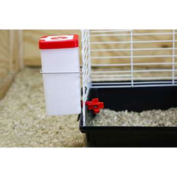 RentACoop 32oz(1L) Drinker Plus 2 Versatile Nipples - Suitable for Chicks, Quail, Pigeons, Doves, and Other Smaller Birds - 1 Pack