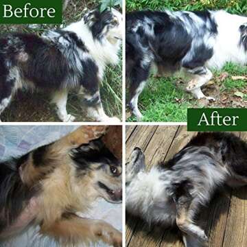 Davis TheraCoat for Pets – Ultimate Coat and Skin Health Solution