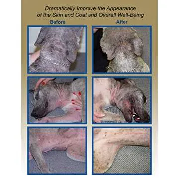 Davis TheraCoat – Best Pet Coat Supplement for Skin Health