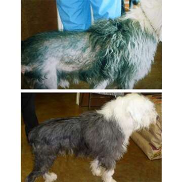 Davis TheraCoat – Best Pet Coat Supplement for Skin Health