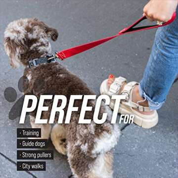 Leash Boss Short Dog Leash for Dog Training | Padded Traffic Handle Short Leash for Dog Training, Total Comfort When Dog Walking | Traffic Leash for Dogs Large, Medium, Small | Short Nylon Dog Lead