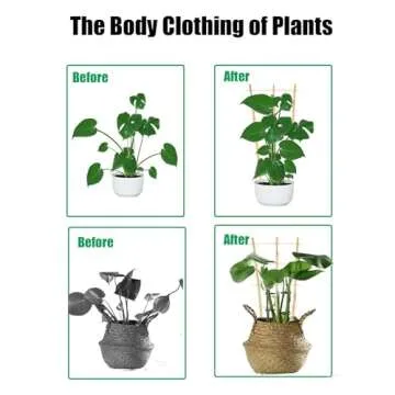 Moromyse 4 Pack Min Bamboo Trellis - 16 inch Plant Support Garden Trellis with Twist Trellis for Climbing Plants Hoya Plants Vine Ivy Indoor Mini Climbing with Bamboo Plant Labels