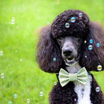 Pet Qwerks Interactive Peach Flavored Bubbles for Pets