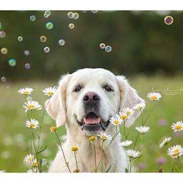 Pet Qwerks Interactive Peach Flavored Bubbles for Pets