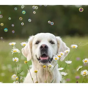 Pet Qwerks Interactive Peach Flavored Bubbles for Pets