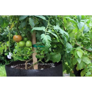 Smart Pots 150-Gallon Soft-Sided Container for Lush Gardens