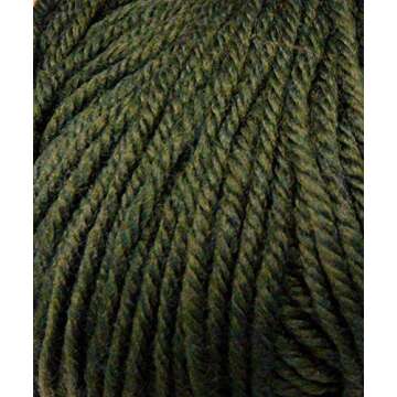 Cascade 220 Superwash 1920 Pumpkin Spice