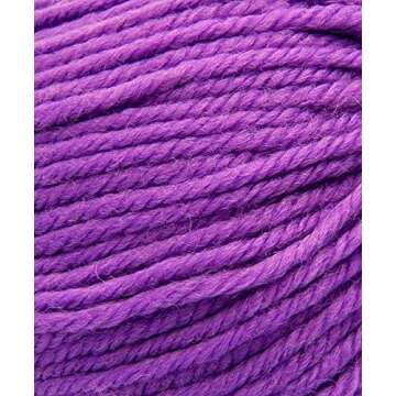 Cascade 220 Superwash 1920 Pumpkin Spice