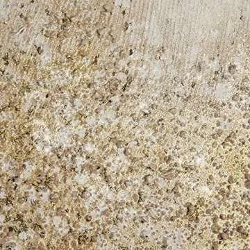 Madison Park Golden Glimmer 100% Hand Brush Embellished Canvas, 2 Piece Set, Each 22" W x 28" H x 1.5" D, Gold, Living Room