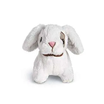 American Girl WellieWishers Carrot and Hutch Toy - A Sweet Gift