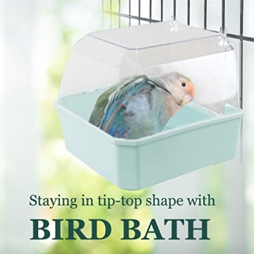 Meric Bird Bath for Hygiene and Feather Care
