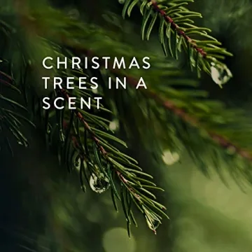 Thymes Frasier Fir All-Purpose Cleaner - Biodegradable Essentials