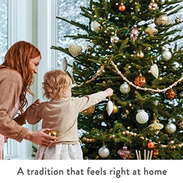 Thymes Frasier Fir All-Purpose Cleaner - Biodegradable Essentials