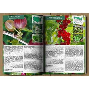 The Forager’s Guide to Wild Foods