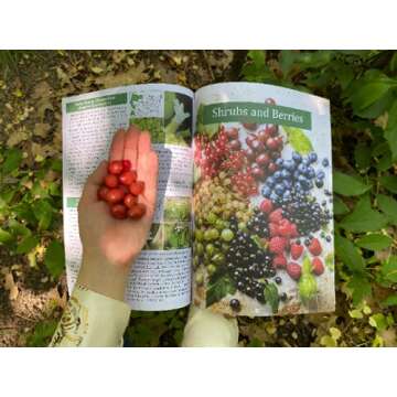 The Forager’s Guide to Wild Foods