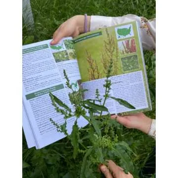 The Forager’s Guide to Wild Foods