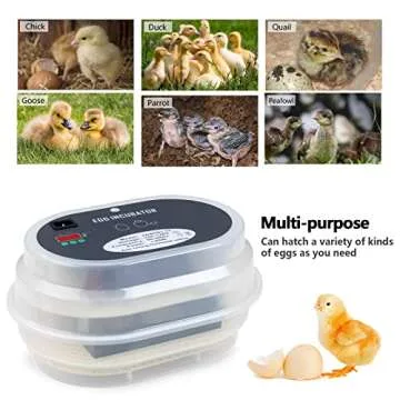 HBlife Digital Egg Incubator for Hatching 9-12 Chicken, Quail and Duck Eggs, with Fully Automatic Egg Turning and Temperature Display, Hatcher for Turkeys, Birds, Parrots and Poultry