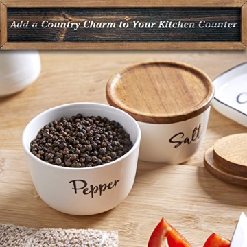 Stylish DAYYET Ceramic Salt & Pepper Bowls with Lid