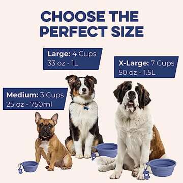Bonza Large Collapsible Dog Bowl, BPA Free & Foldable, 1000 ml Travel Dog Water Bowl with Carabiner & Bottle Holder Keychain, Sturdy Reinforced Rim