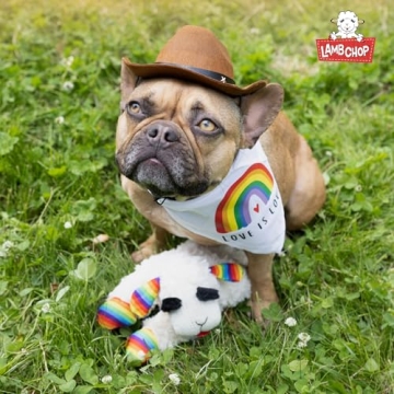 Multipet Lamb Chop Dog Toy with Squeakers