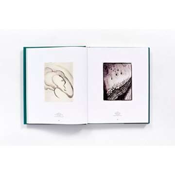 Georgia O'Keeffe Art Book - Stunning Hardcover Collection