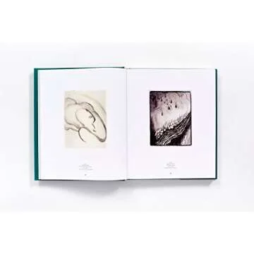 Georgia O'Keeffe Art Book - Stunning Hardcover Collection